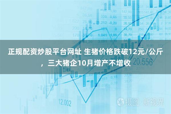 正规配资炒股平台网址 生猪价格跌破12元/公斤，三大猪企10月增产不增收