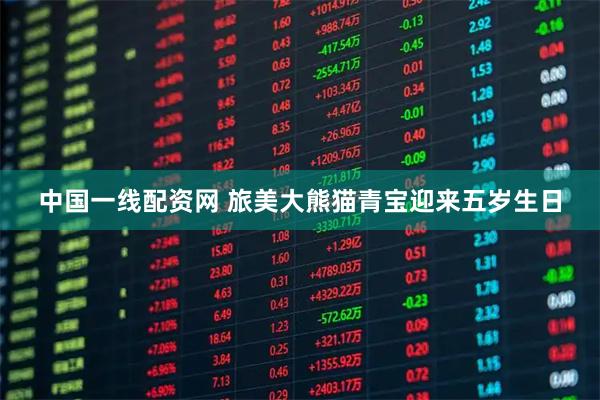 中国一线配资网 旅美大熊猫青宝迎来五岁生日